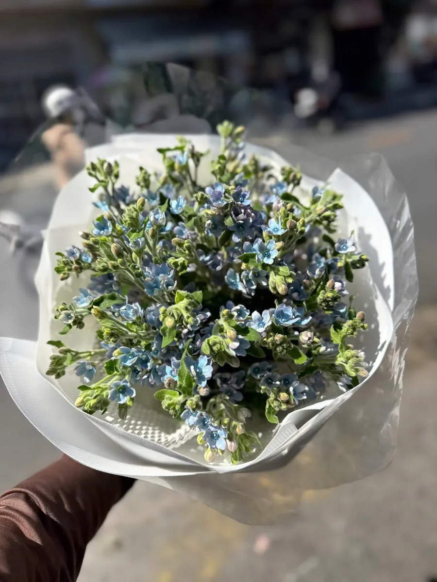 Bó thanh liễu xanh - ảnh 1